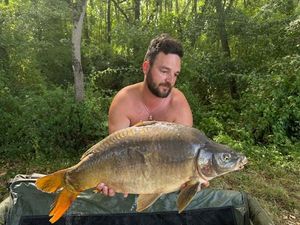 Mirror Carp