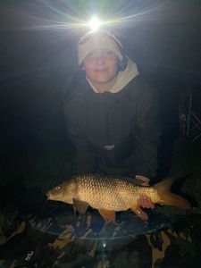 Common Carp