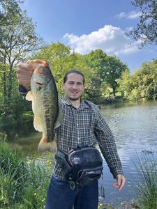 Largemouth Bass