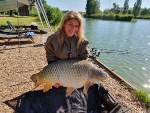 Common Carp