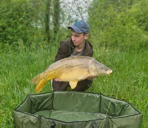 Mirror Carp