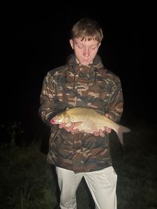 Common Bream