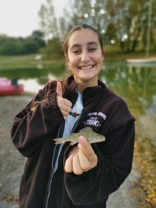 European Perch