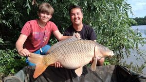 Common Carp