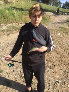 European Perch