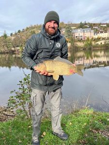 Common Carp