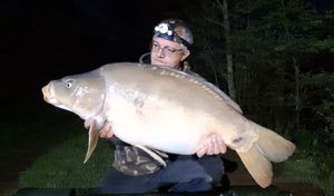 Mirror Carp
