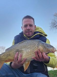 Common Carp