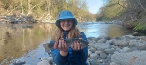 Rainbow Trout