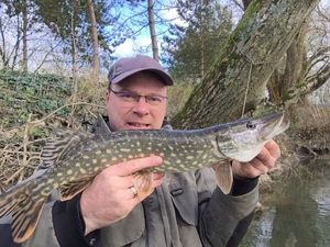 Northern Pike