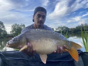 Mirror Carp