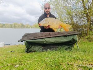 Mirror Carp