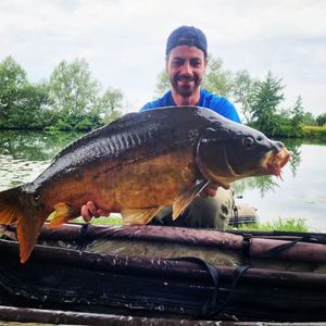 Mirror Carp