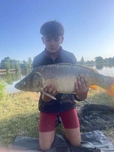Mirror Carp