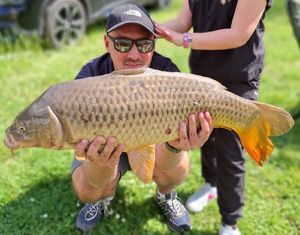 Common Carp