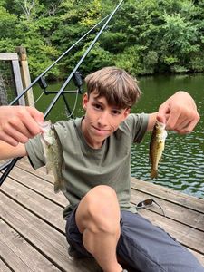 Largemouth Bass