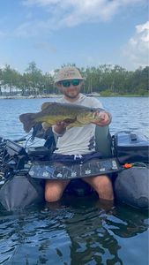 Smallmouth Bass