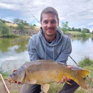 Mirror Carp