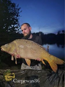 Leather Carp
