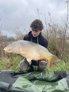 Mirror Carp