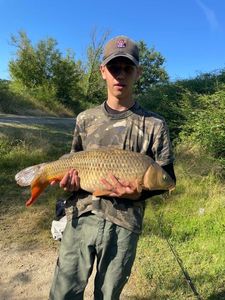 Crucian Carp