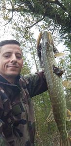 Northern Pike