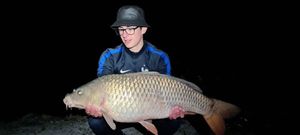 Common Carp