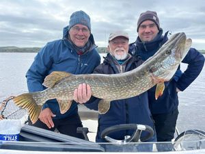 Northern Pike