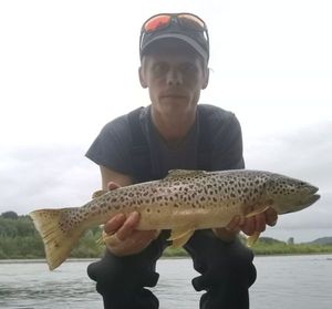 Brown Trout