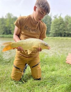 Common Carp