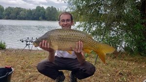 Common Carp