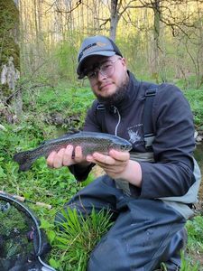 Rainbow Trout