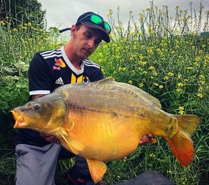 Mirror Carp