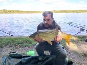 Common Carp