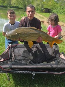 Common Carp