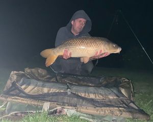 Common Carp
