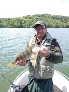 European Perch