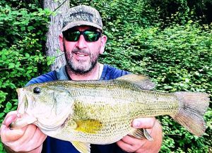 Largemouth Bass