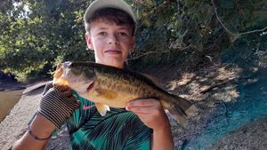 Largemouth Bass