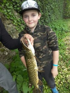 Northern Pike