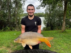 Mirror Carp