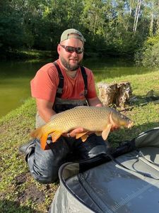 Common Carp