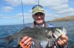 European Bass (Seabass)