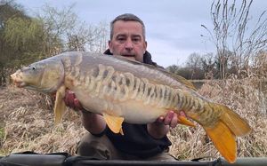 Mirror Carp