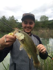 Largemouth Bass
