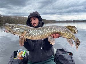 Northern Pike