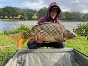 Common Carp