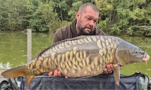 Koï Fish