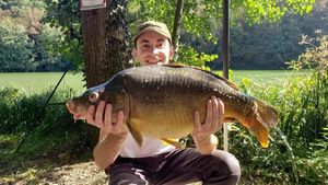Mirror Carp