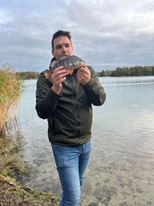 European Perch